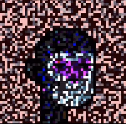 Item Media