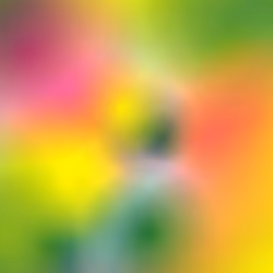 Infinite Entropy 22 