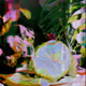 KVF // Experiments