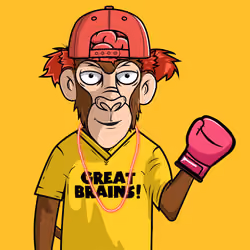 The Great Brains Club #853