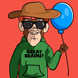 The Great Brains Club #1163