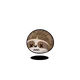 1538
