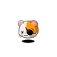 3720