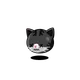 1591