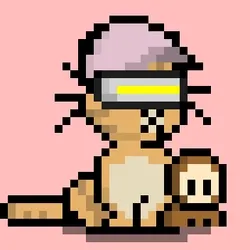 NEKO #2978