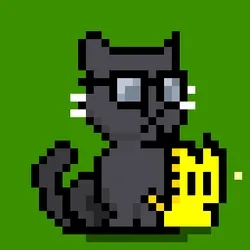 NEKO #6448