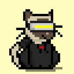 NEKO #4909