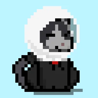 Neko Official