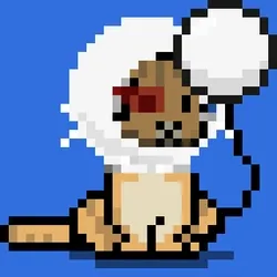 NEKO #5509