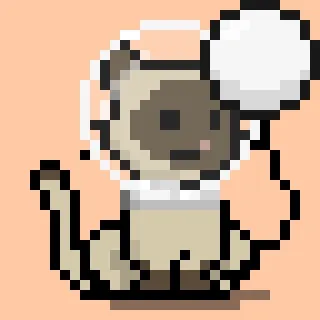 NEKO #5528