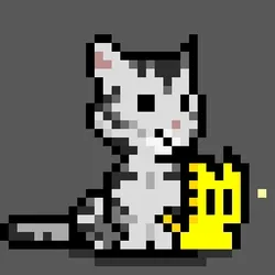 NEKO #4915