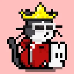 NEKO #0905