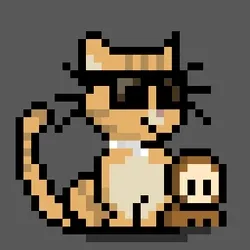 NEKO #4846