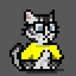NEKO #1937
