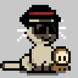 NEKO #1837
