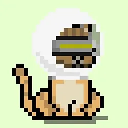 NEKO #2378