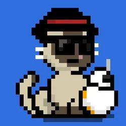 NEKO #0800