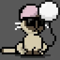 NEKO #1551