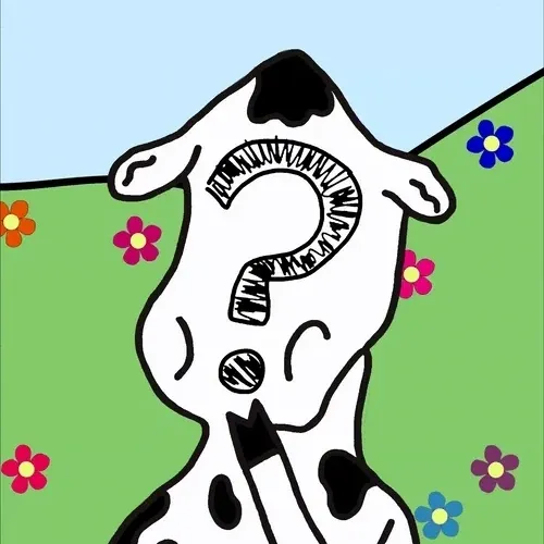 Stoneymoo