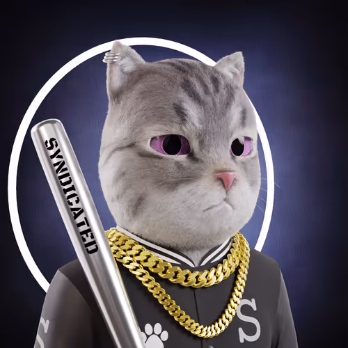 Syndicated Cat Club #13