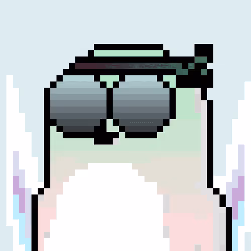 Chubbypenguins