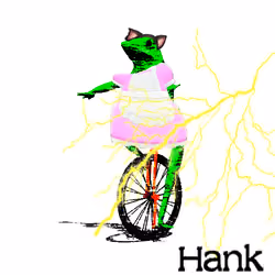 hank