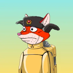 658