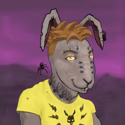 24