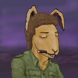 49