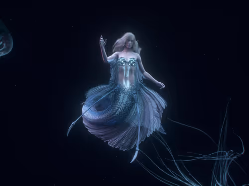 Item #28300020020 Media