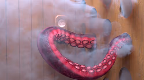 Item #28300090012 Media