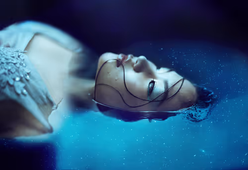 Item #28300160045 Media