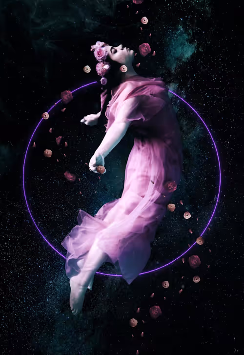 Item #28300150025 Media