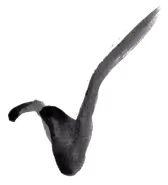 47