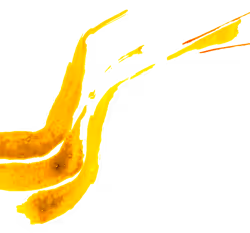 221
