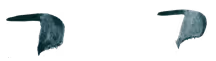 683