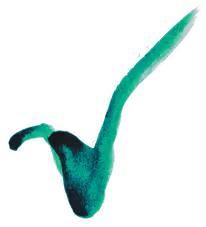 1051