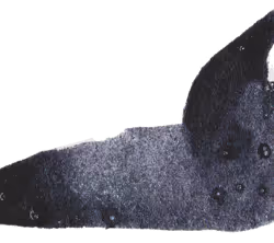 880