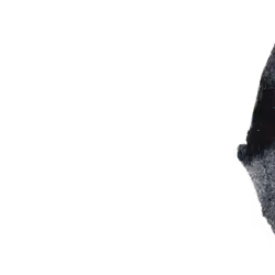 276