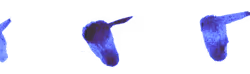 965
