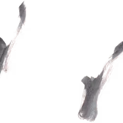 686