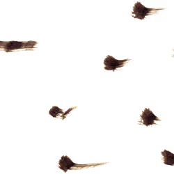 569