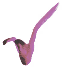 514