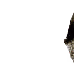 502