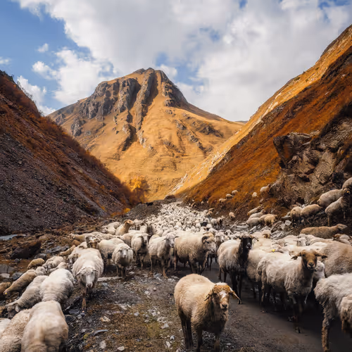 Through the Valley
