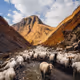 Through the Valley