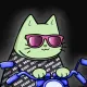 Motocat #1716