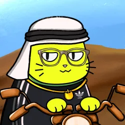 Motocat #3468