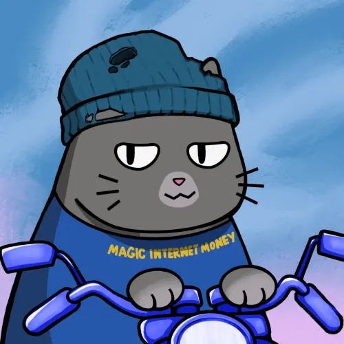 Motocat #6239