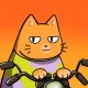 Motocat #11449